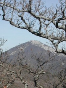 Autre vue du mont comes