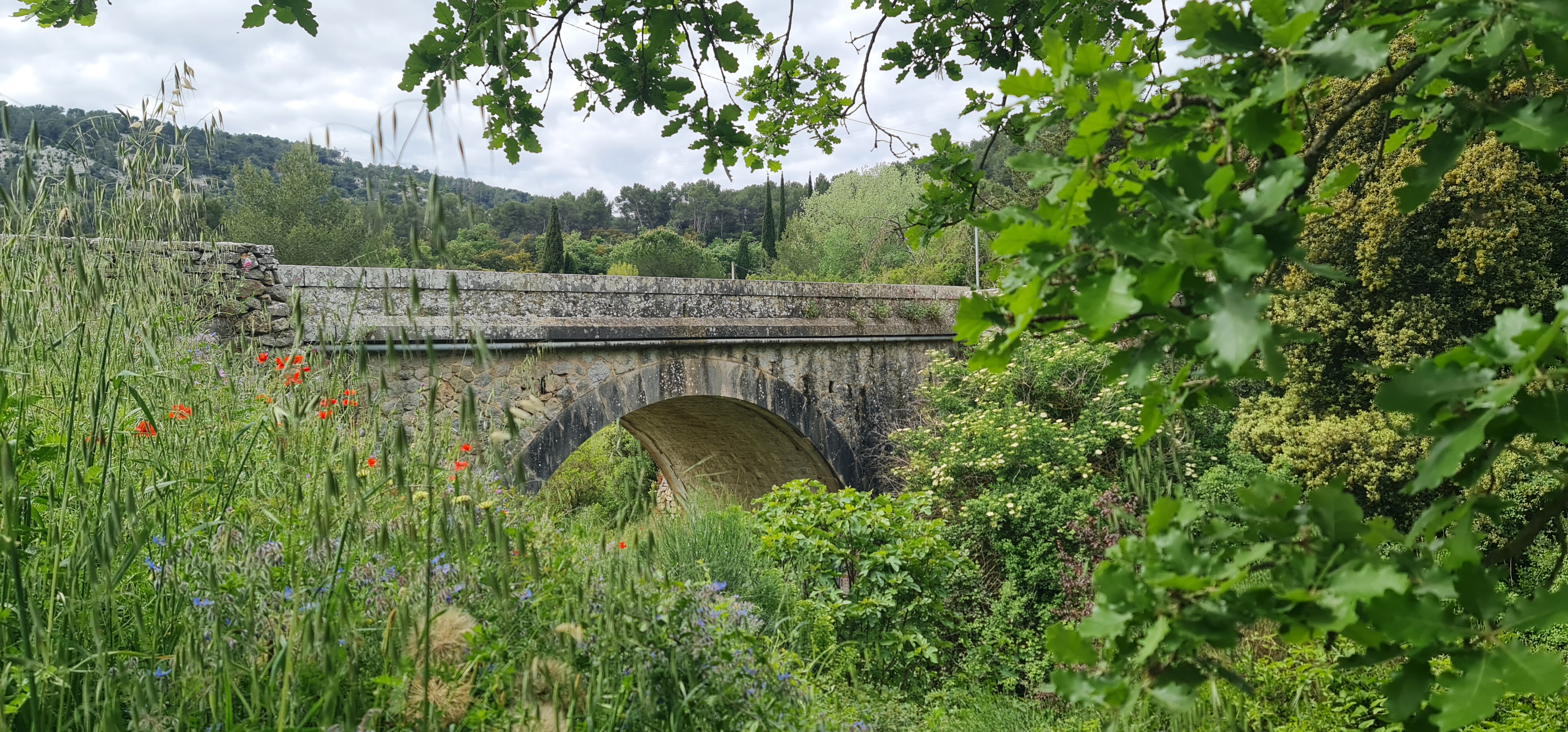 Le pont de pierre du Broussan, entouré de végétation