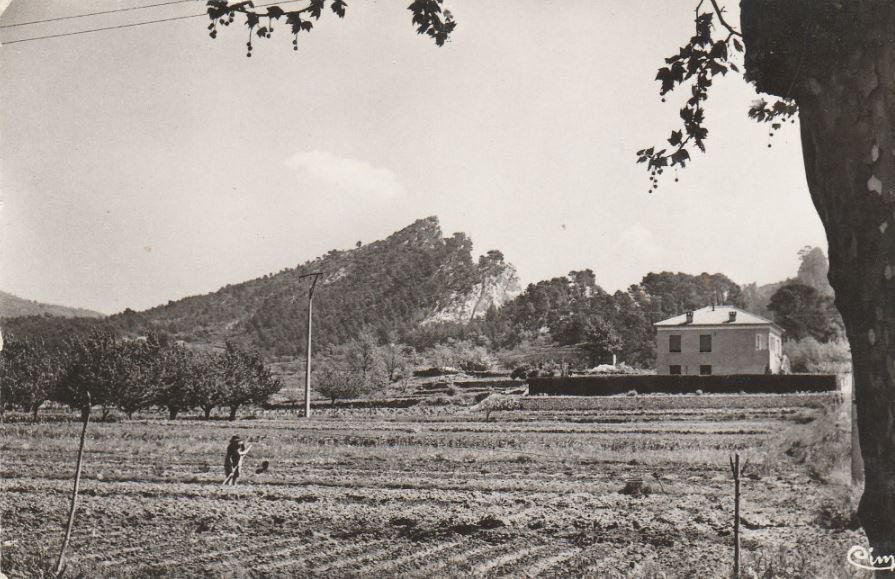 La plaine et le cimai